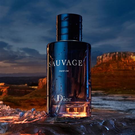 dior savage purfume|Dior Sauvage cheapest price 100ml.